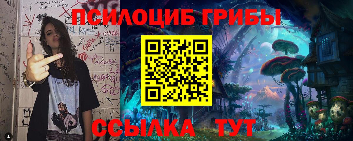 Каспийск  Псилоцибиновые грибы мицелий  Вход с VPN 