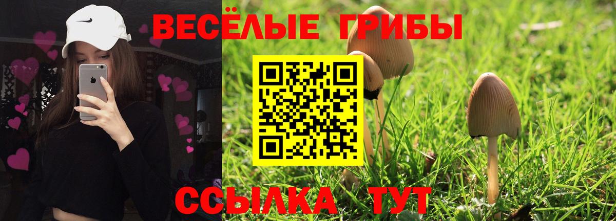 Псилоцибиновые грибы ЛСД Каспийск